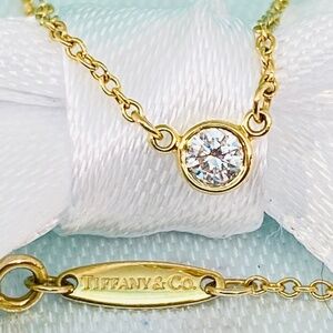 Tiffany & Co Elsa Peretti .10 carat  Diamond by the Yard 16” Necklace